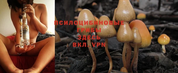 спиды Алексеевка