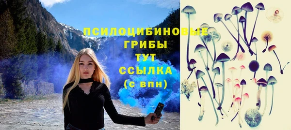 спиды Алексеевка