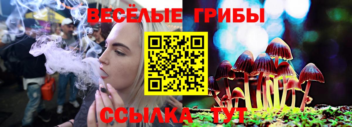 Псилоцибиновые грибы мицелий Ейск