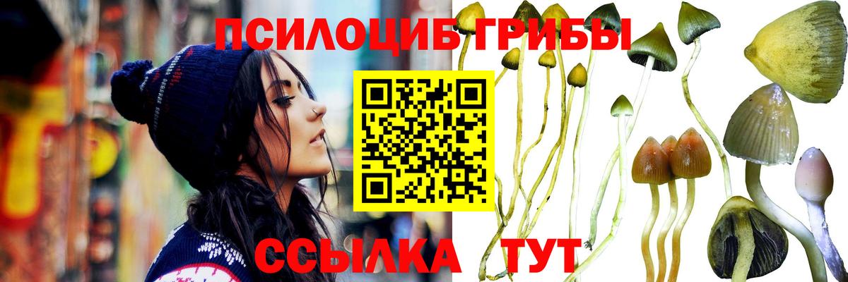 Ейск  Галлюциногенные грибы мицелий  наркошоп  Вход с VPN 